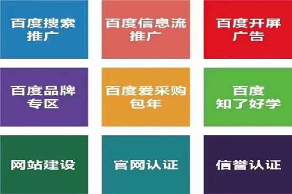成功企业的SEM竞价优化经验与启示